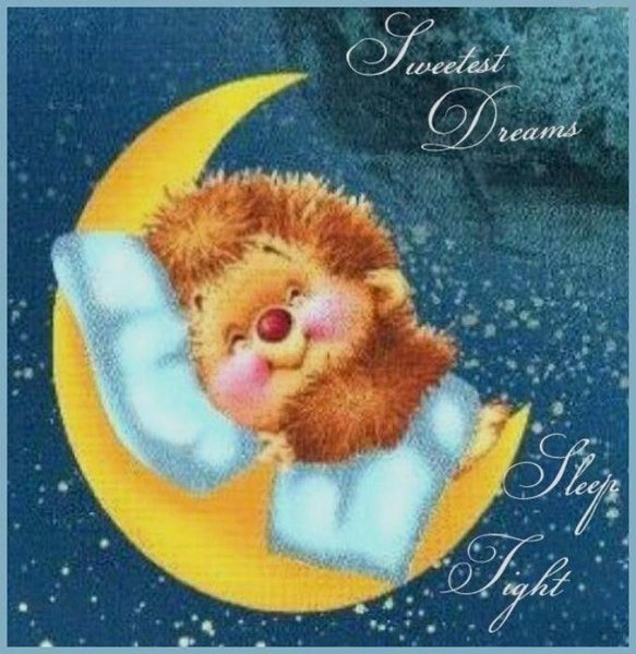 Спокойной ночи с ежиком