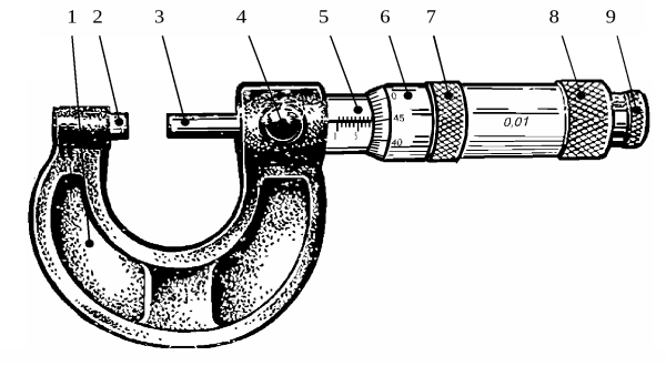 Микрометр в разрезе