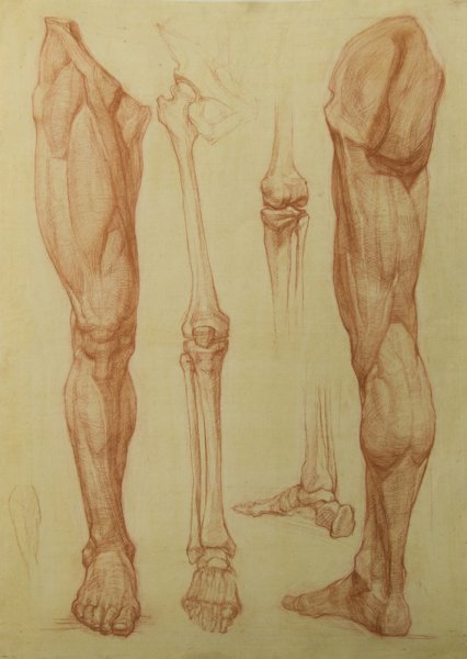 Зарисовки стопы человека