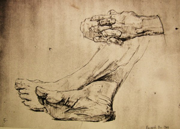 Пластическая анатомия стопы