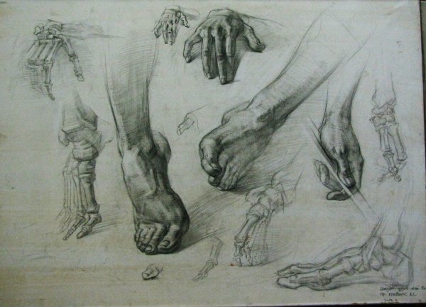 Наброски стопы