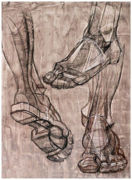 Стопа референс анатомия