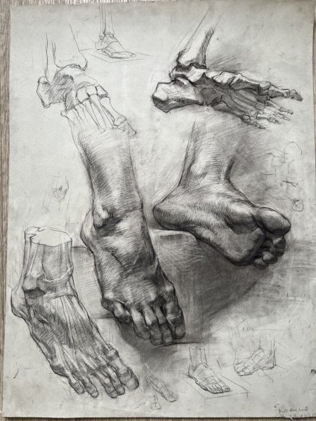 Рука Давида Экорше