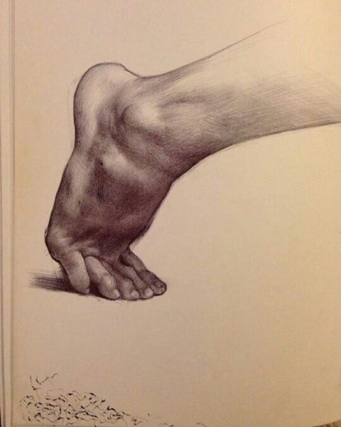 Андрей Самарин рисунки