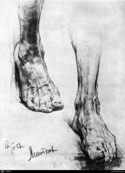 Экорше ноги Академический рисунок