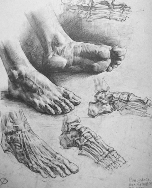 Баммес колени кости