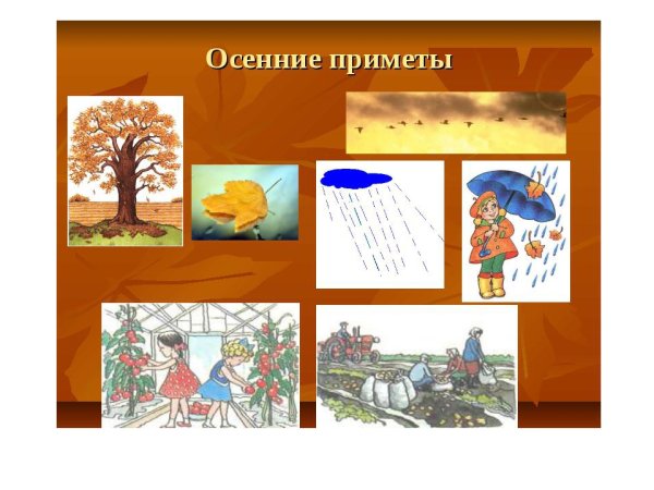 Осенние приметы для детей
