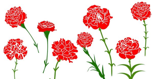 Гвоздики трафарет цветной