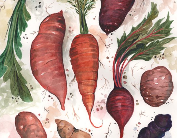 Овощи корнеплоды