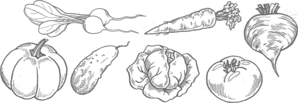 Корнеплоды названия