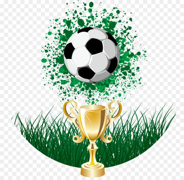 Футбольный Кубок