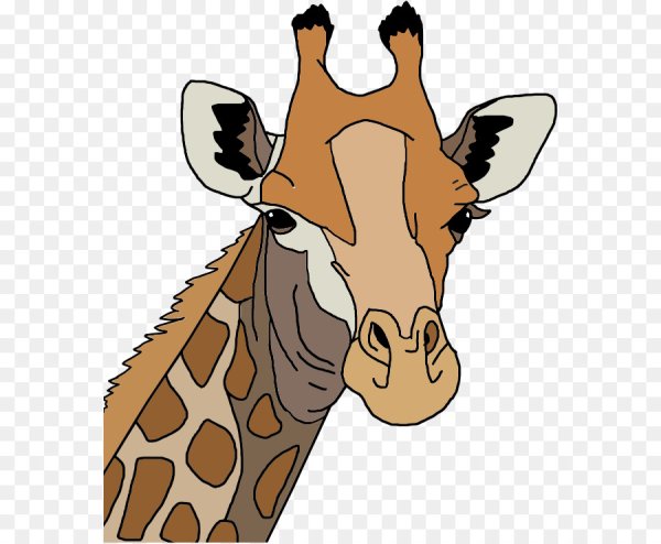 Жираф. Раскраска