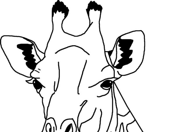 Стилизованная голова жирафа