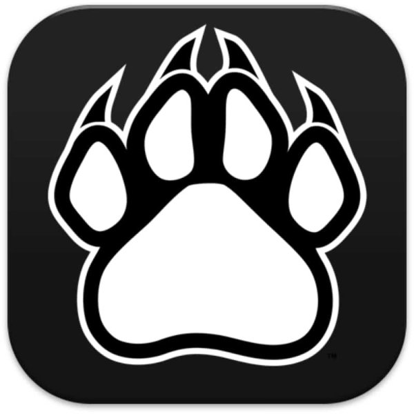 Лапа пантеры вектор