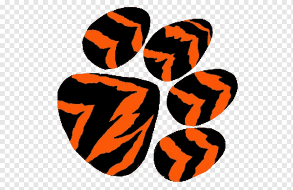 Тигриный след