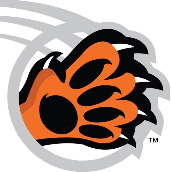 Лапа с когтями логотипы