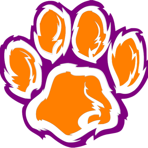 Отпечаток лапы тигра