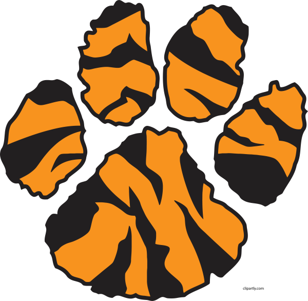 Лапы тигра для детей