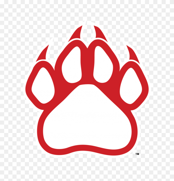 Отпечаток тигриной лапы