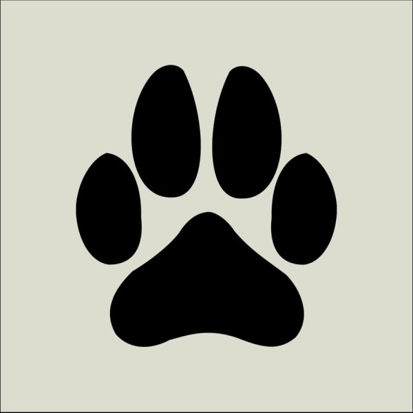 Отпечатки лап тигрят