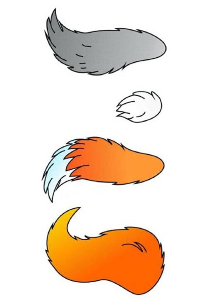 Чей хвост животные для детей