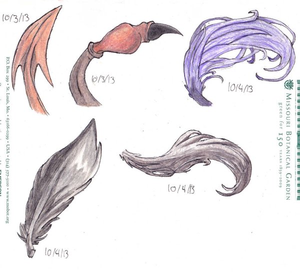 Хвост для рисования