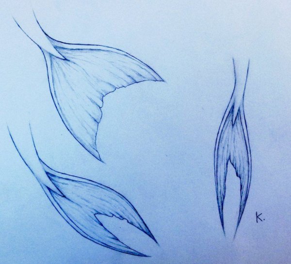 Русалочьи хвосты для рисования