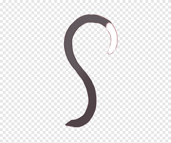 Кошачий хвост аниме