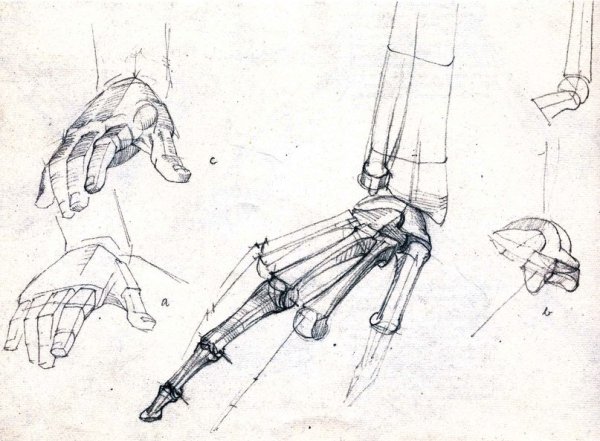 Готфрид Баммес руки