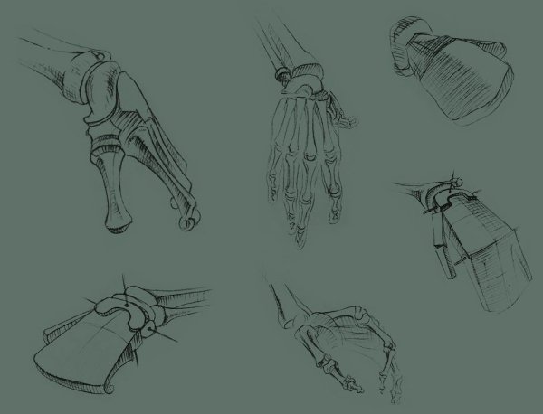 Пластическая анатомия кисти руки