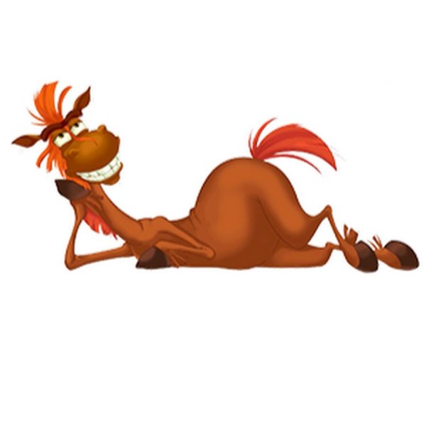 Конь Юлий на белом фоне