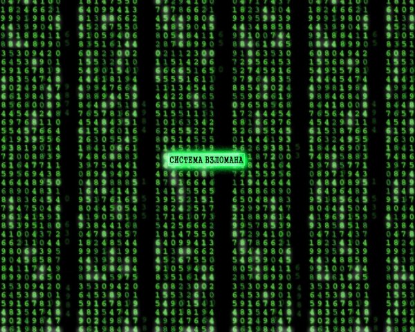 Матрица обои