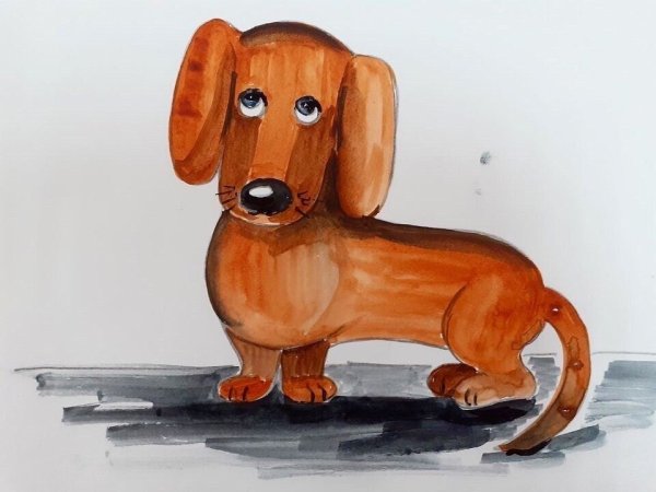 Такса рисунок