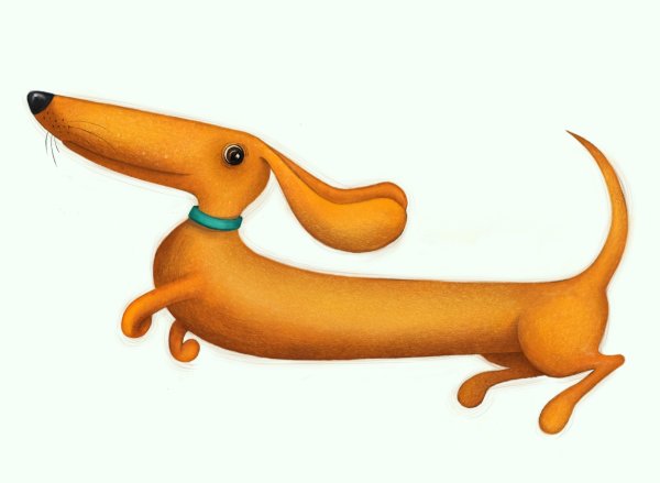 Мультяшные таксы