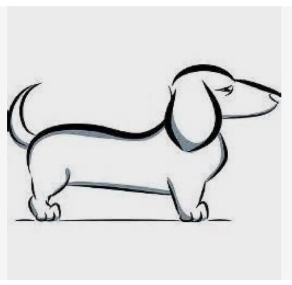 Рисование таксы