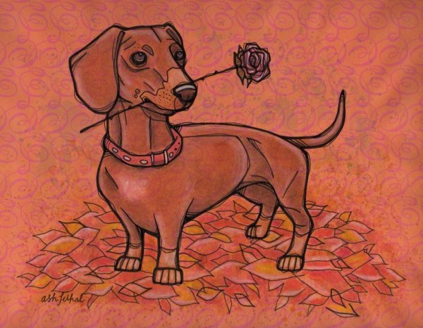 Такса рисунок