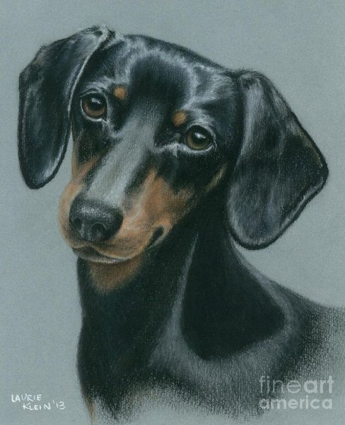 Такса стикер