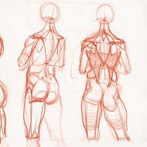 Анатомия фигура человека референс