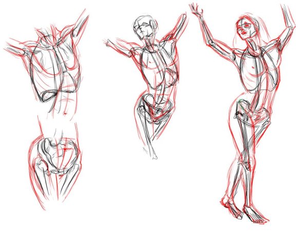 Анатомия для рисования