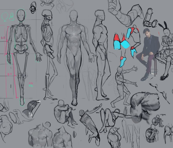 Давид анатомия референс