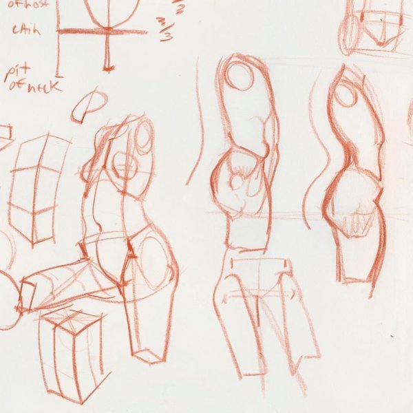 Анатомия человека для рисования