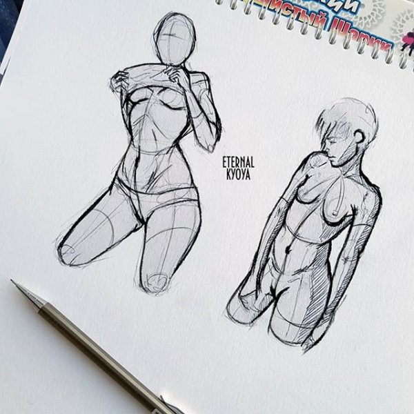 Анатомия человека для рисования девушка
