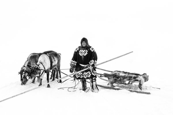 Белый медведь ненцы Нарты