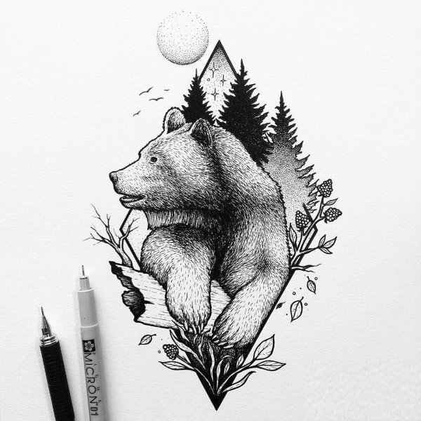 Медвежонок набросок