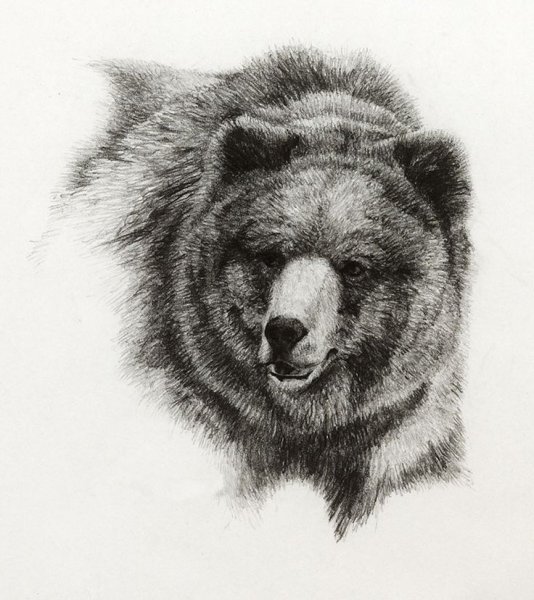 Стилизованная голова медведя