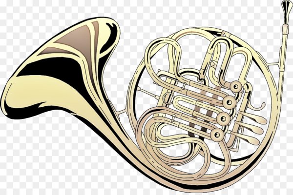 Медные духовые инструменты валторна