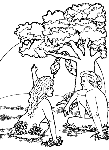 Дни творения раскраска для детей