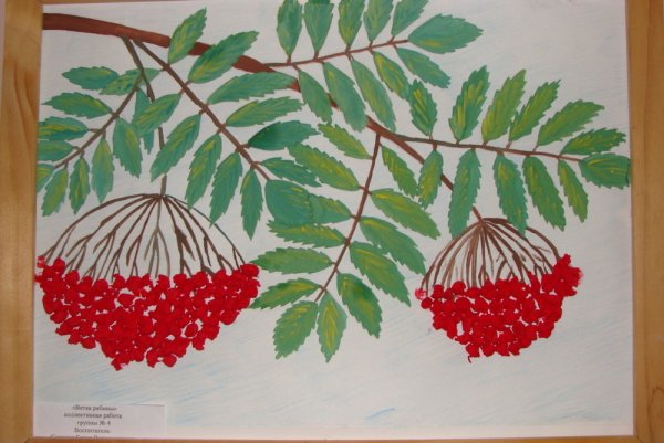 Ветка рябины без фона