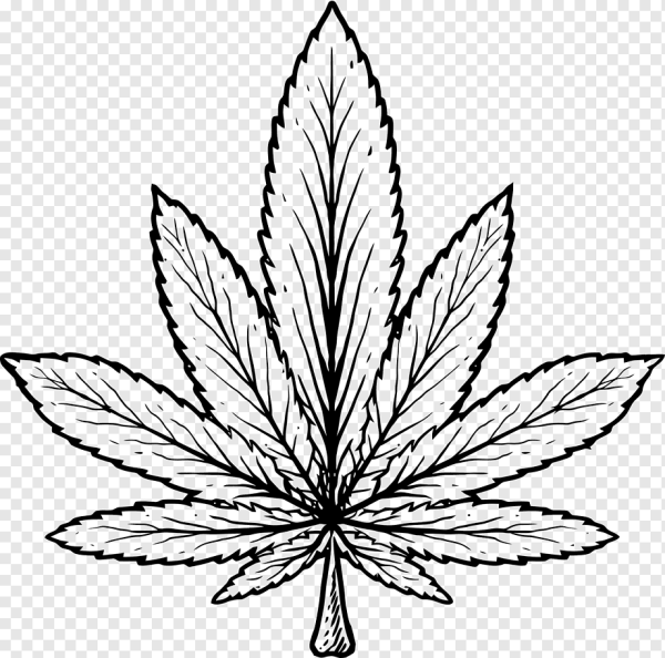 Конопля раскраска