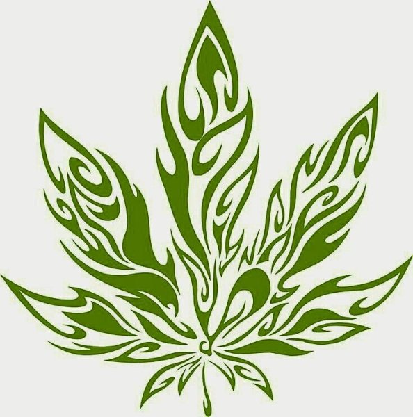 Лист конопли контур